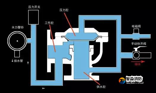 1644298966897805.jpg 7.jpg