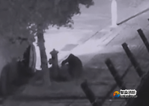 1663384618189856.png image.png